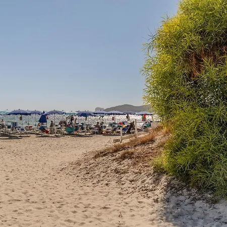 Guesthost - Comfy Near The * אלגהרו